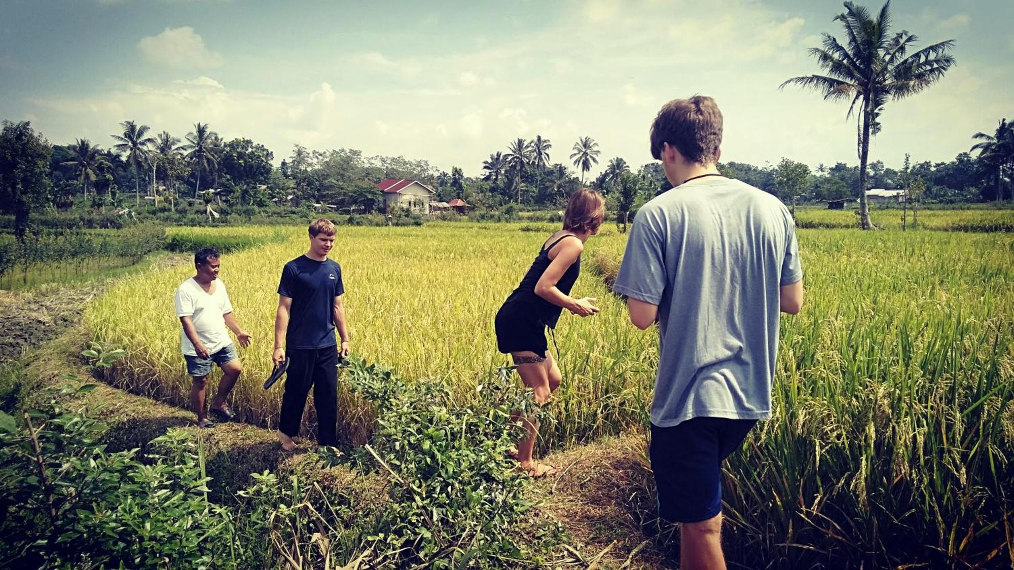 Bujak Permai Villa Matahari Lombok Ntb Praya Buitenkant foto
