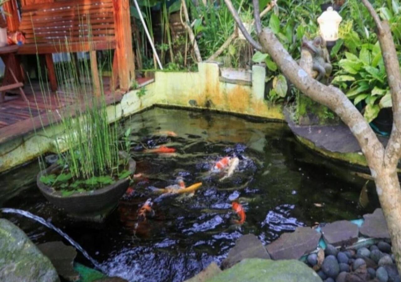 Bujak Permai Villa Matahari Lombok Ntb Praya Buitenkant foto