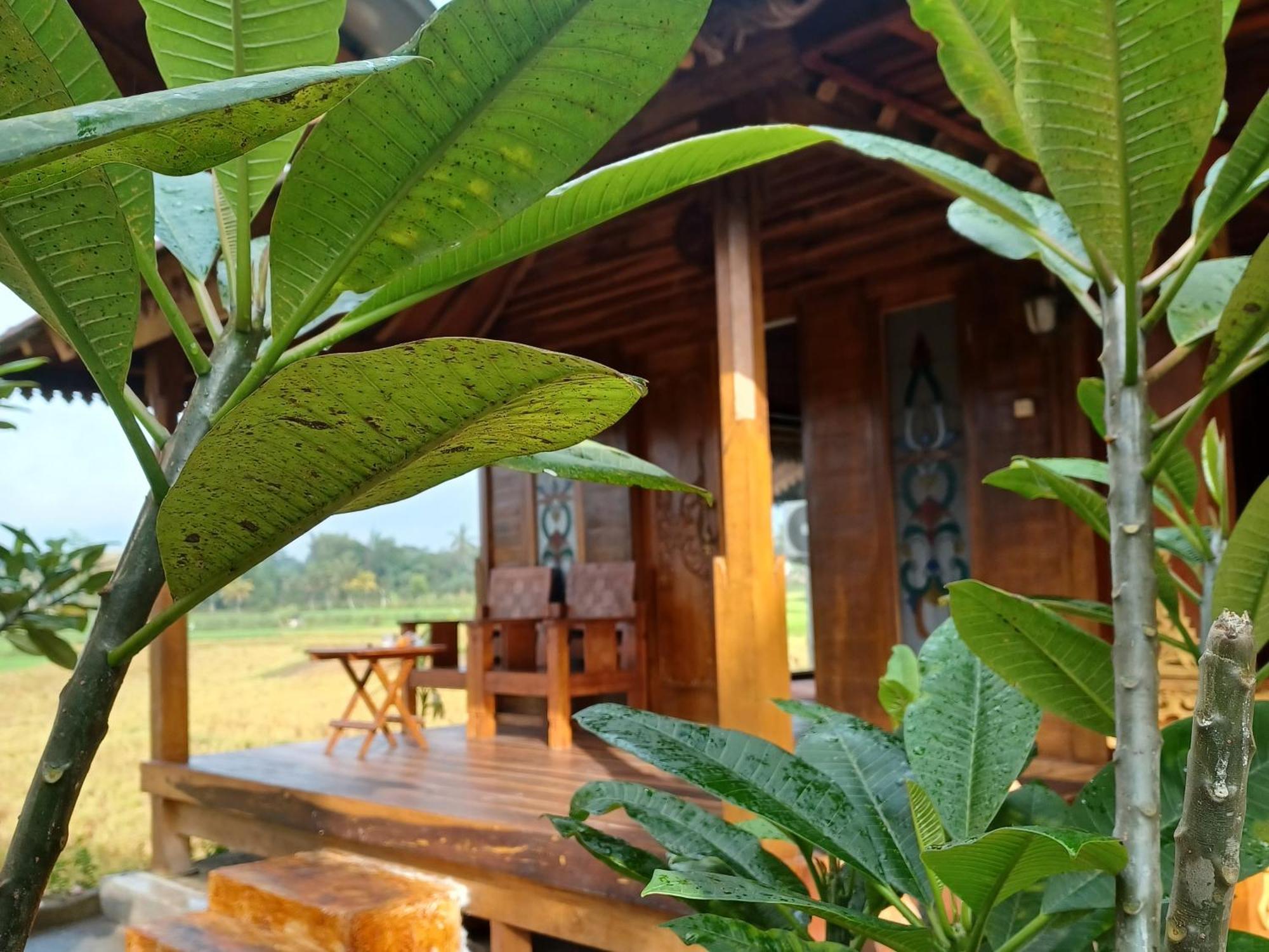 Bujak Permai Villa Matahari Lombok Ntb Praya Buitenkant foto